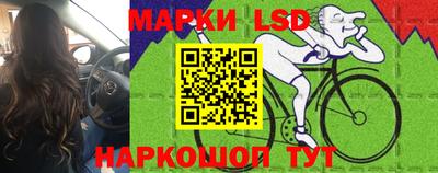гидропоника Новокубанск