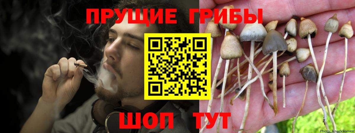 Псилоцибиновые грибы прущие грибы Спасск-Дальний
